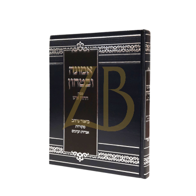 אמונה ובטחון ממרן חזון איש - ביאור נרחב