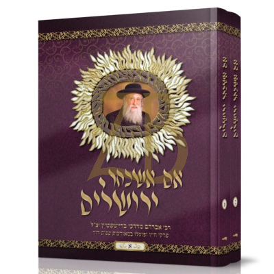 אם אשכחך ירושלים -פ"ח אברהם מרדכי ברייטשטיין ב"כ