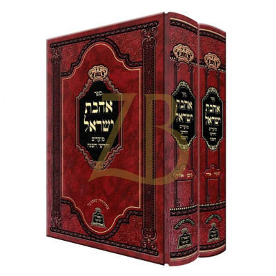 אהבת ישראל - מועדים - ב"כ ויזניץ - מכון תפארת ישראל