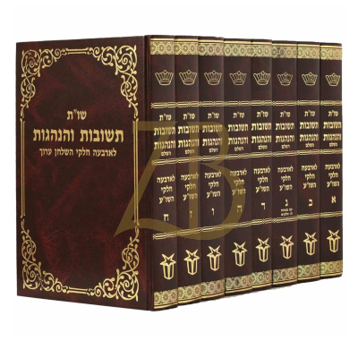 שו"ת תשובות והנהגות - ח"כ - רבי משה שטרנבוך