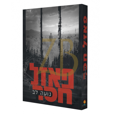 פאזל חסר - נועה לב