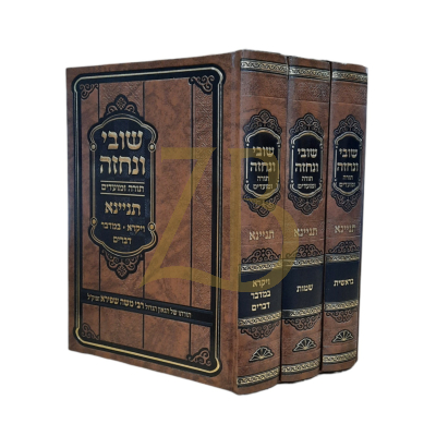 שובי ונחזה - עה"ת ומועדים ג"כ - תניינא - רבי משה שפירא