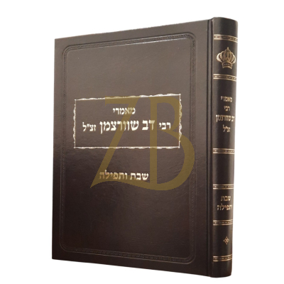 מאמרי רבי דב שוורצמן - שבת ותפילה