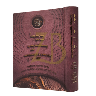 בכל לבי דרשתיך - פרקי הדרכה לעולמם של לומדי תורה