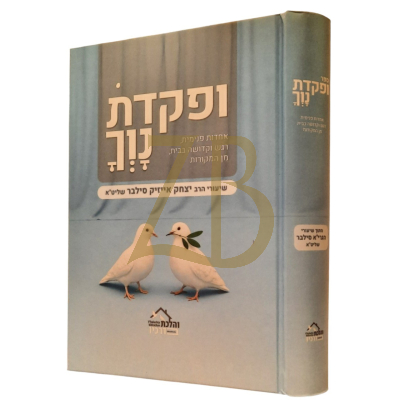 ופקדת נוך - שיעורי יצחק אייזיק סילבר