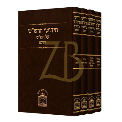 חידושי הרש"ש - על הש"ס - ד"כ