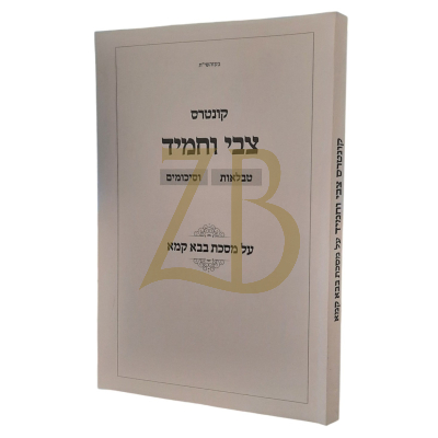 קונטרס צבי וחמיד - טבלאות וסיכומים - מסכת בבא קמא