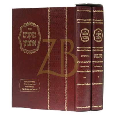 מזקנים אתבונן - רי"ש קסטלניץ - ב"כ