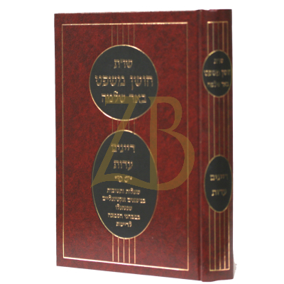 שו"ת חושן משפט באר שלמה - דיינים ועדות