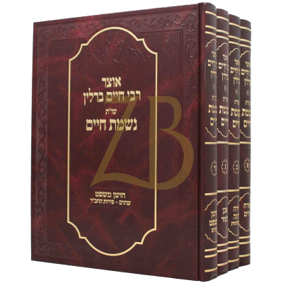שו"ת נשמת חיים - אוצר ר' חיים ברלין - ד"כ