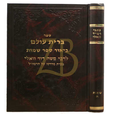 כתבי רמ"ד וואלי - שמות א