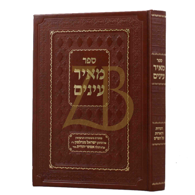 מאיר עינים הערות וחידושים על ש"ס