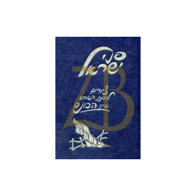 פני ישראל - ב"ק פרק הכונס - ציורים