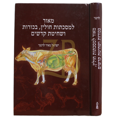 מאור למסכת חולין - בכורות ושחיטת קדשים