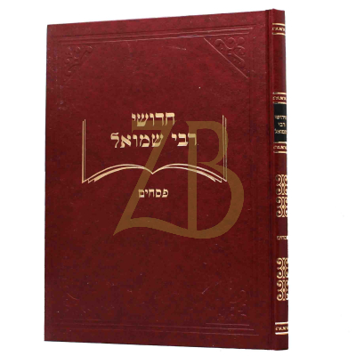 חידושי רבי שמואל - פסחים