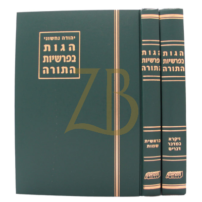הגות בפרשיות התורה - נחשוני - ב"כ