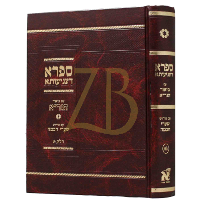 ספרא דצניעותא - ע"ב הגר"א - ע"פ שערי חכמה - ח"ב