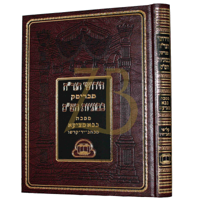 חידושי הגר"ח מבריסק - בבא מציעא