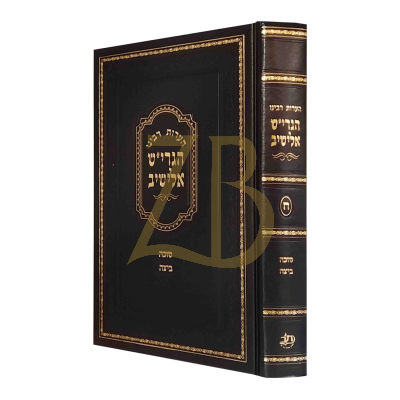 הערות רבינו הגרי"ש אלישיב - סוכה ביצה