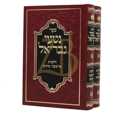 נטעי גבריאל - סוכות - ב"כ