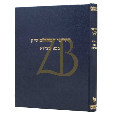 חידושי מהר"ם שיק - בבא מציעא