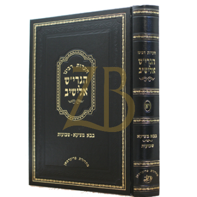 הערות רבינו הגרי"ש אלישיב - בבא מציעא שבועות