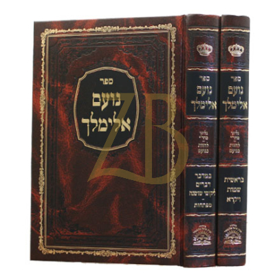 נועם אלימלך - ב"כ מכון סוד ישרים