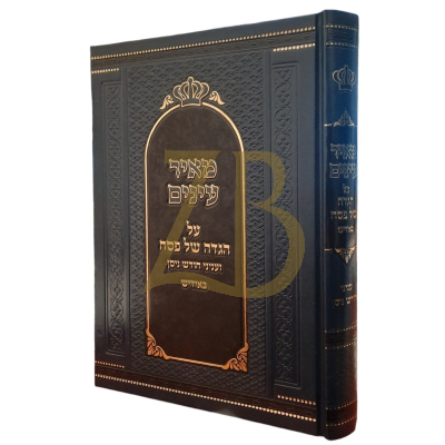 הגדה מאיר עינים