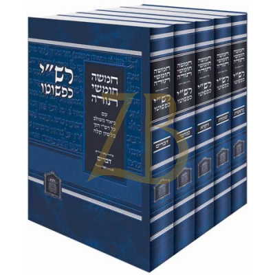 רש"י כפשוטו - ה"כ רגיל
