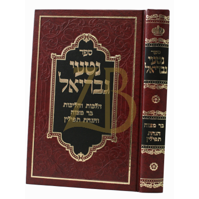 נטעי גבריאל - בר מצוה - הנחת תפילין