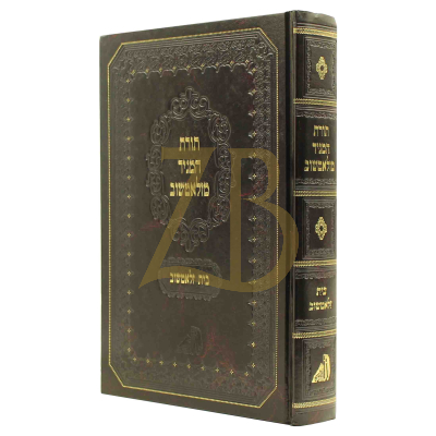 תורת המגיד מזלאטשוב ובניו - מכון שמחת עולם