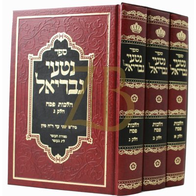 נטעי גבריאל - פסח ג"כ