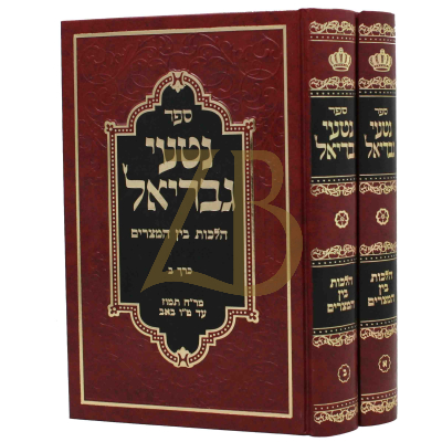 נטעי גבריאל - בין המצרים - ב"כ