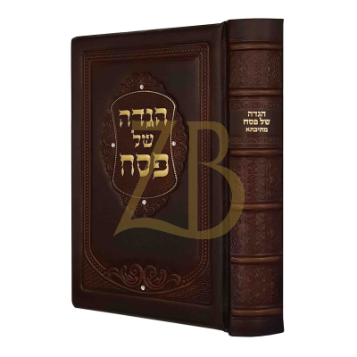 הגדה מתיבתא מורחב - עור אמיתי - מעשה חושב