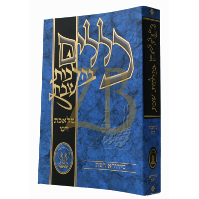 כללים בהלכות שבת - דש