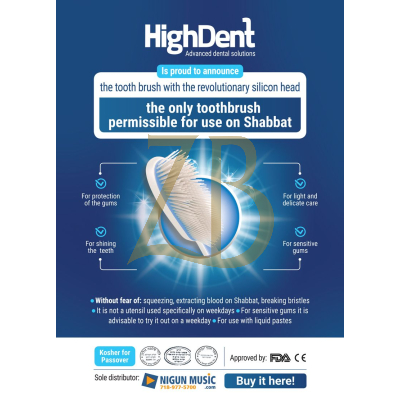 High Dent Shabbos Toothbrush