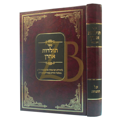 תולדות אהרן - זיטאמיר כ"א