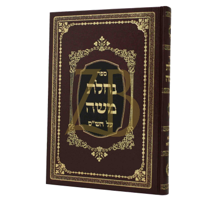 נחלת משה - בבא מציעא קטן