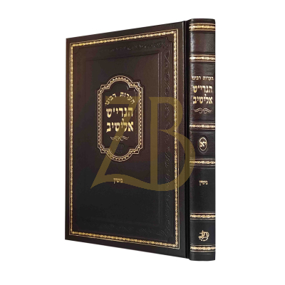 הערות רבינו הגרי"ש אלישיב - גיטין
