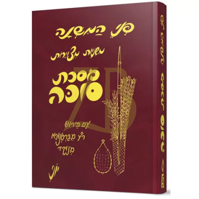 משניות פני סוכה