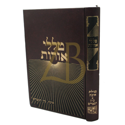 טללי אורות - איכה - בין המצרים