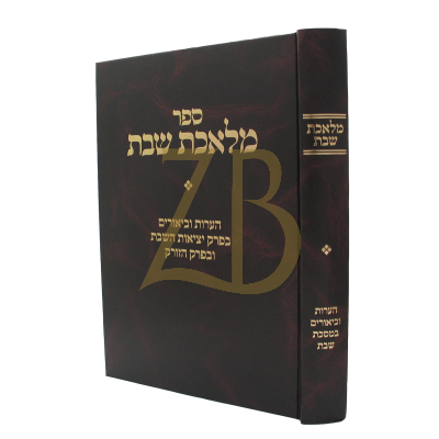 מלאכת שבת - הערות וביאורם ע"מ שבת