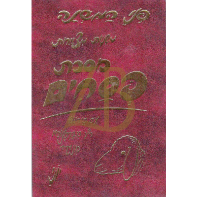 פני המשנה פסחים
