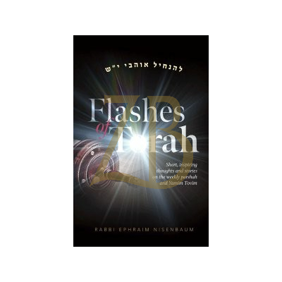 Flashes of Torah - R' Ephraim Nisenbaum