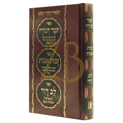 תומר דבורה - זכות אבות - לב דוד