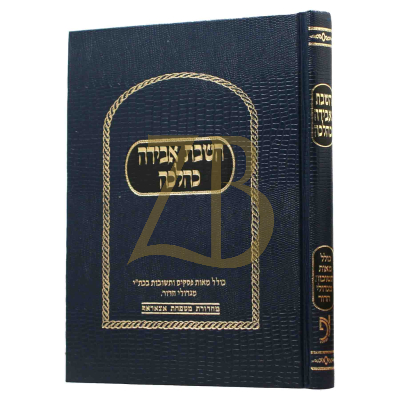 השבת אבידה כהלכה