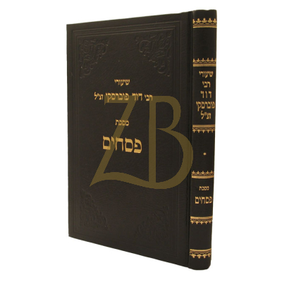שיעורי רבי דוד פוברסקי - פסחים - ח"א