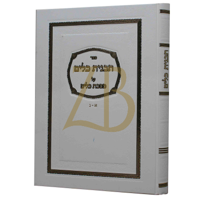 תבנית כלים - כ"א - כ"ק