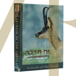 Animals Of The Torah